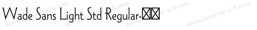 Wade Sans Light Std Regular字体转换